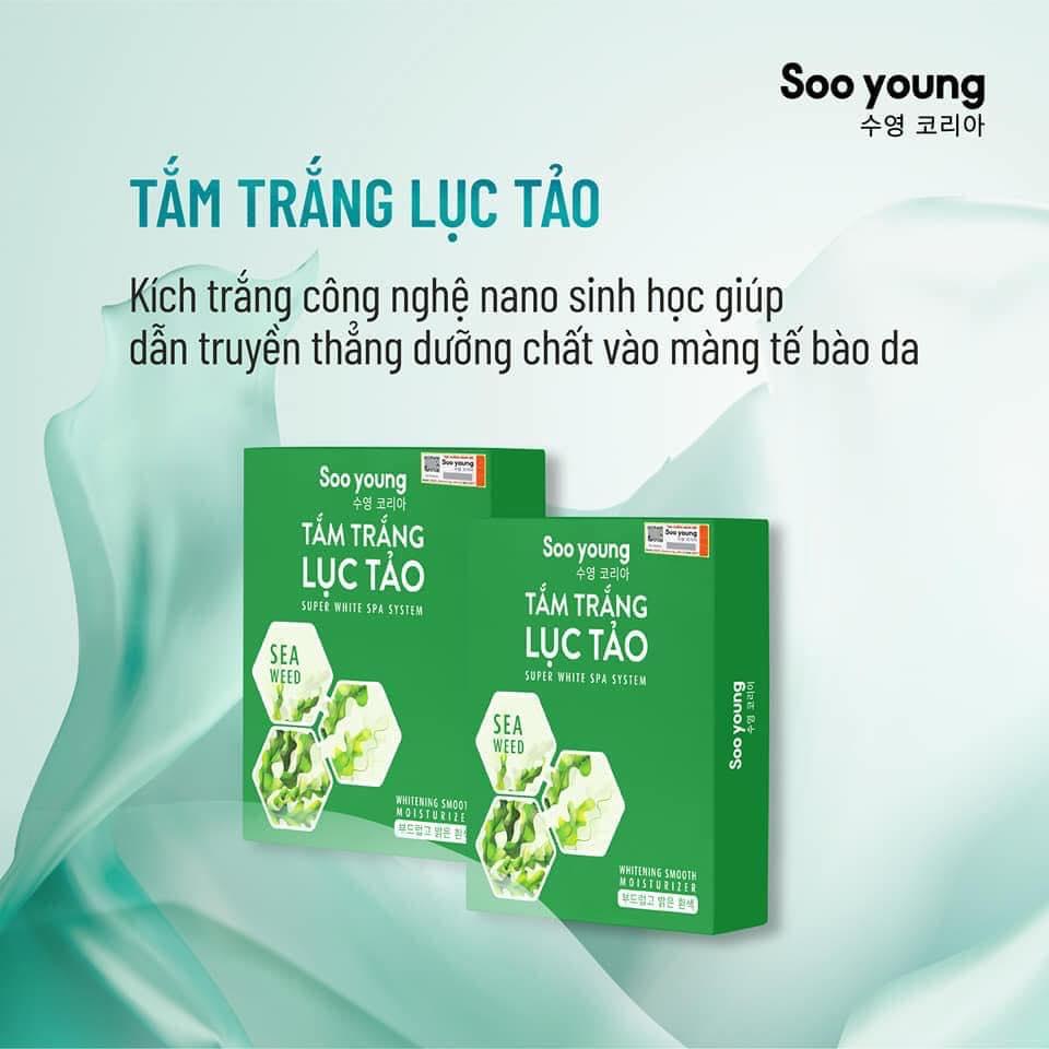 Tảo Lục: Khám Phá Lợi Ích, Ứng Dụng Và Phương Pháp Nuôi Trồng